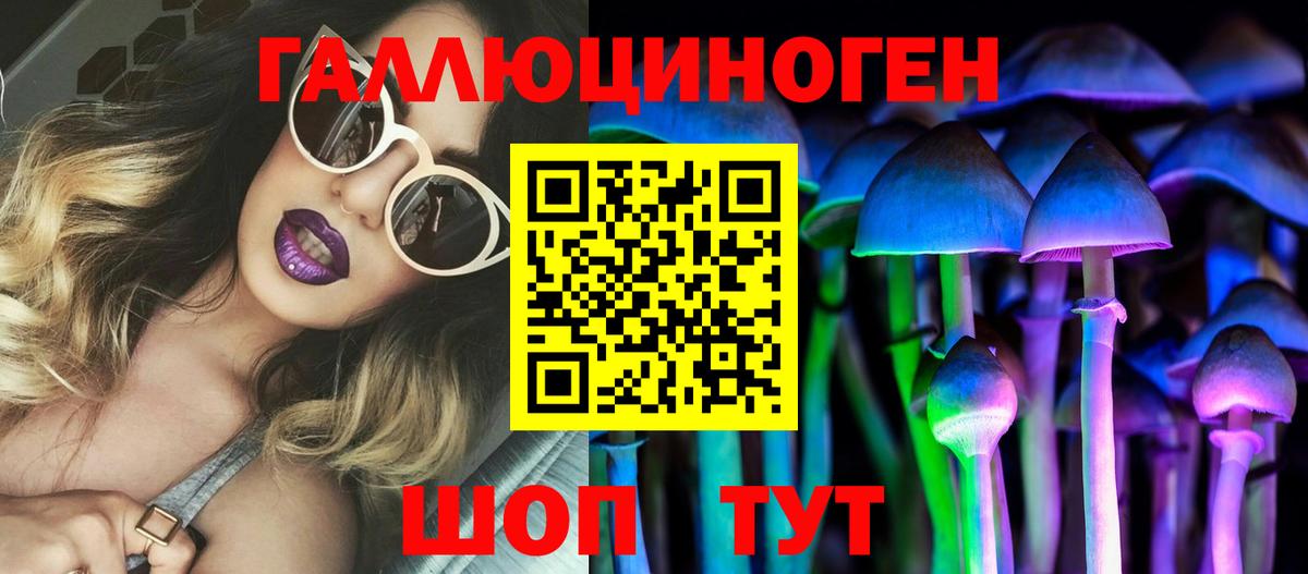 Гусиноозёрск  Галлюциногенные грибы GOLDEN TEACHER  Галлюциногенные грибы прущие грибы  Вход с VPN 
